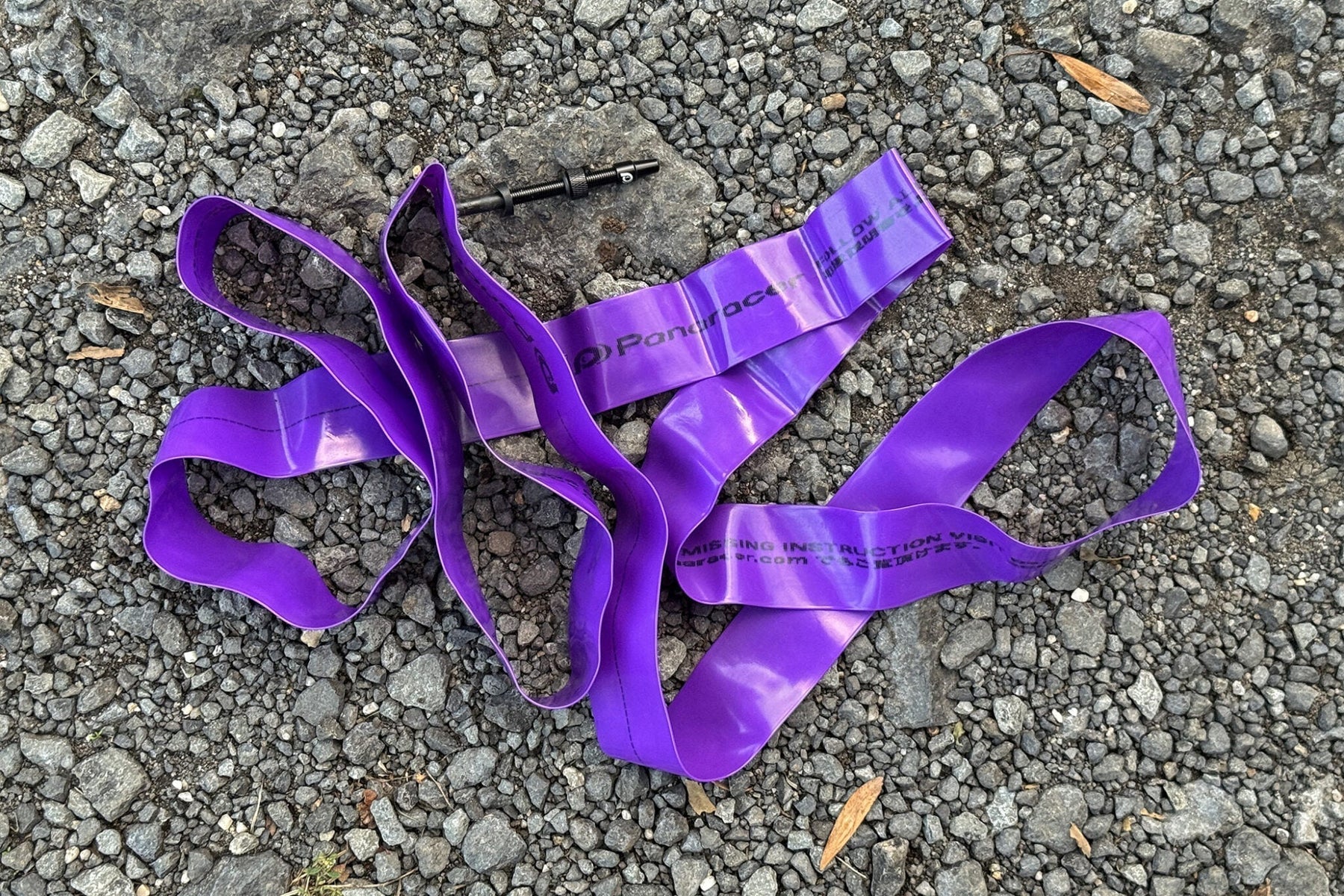 BikeRumor: First Look - Panaracer Purple Lite