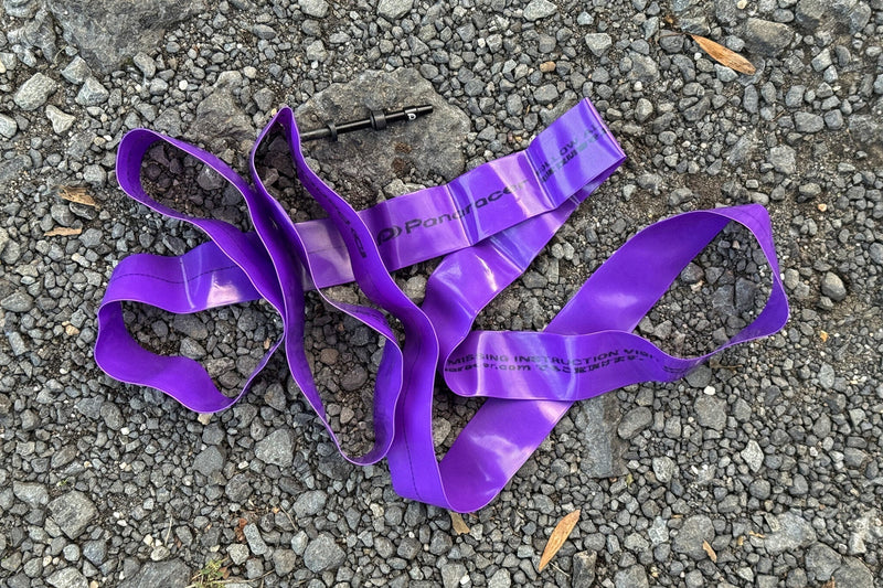 BikeRumor: First Look - Panaracer Purple Lite