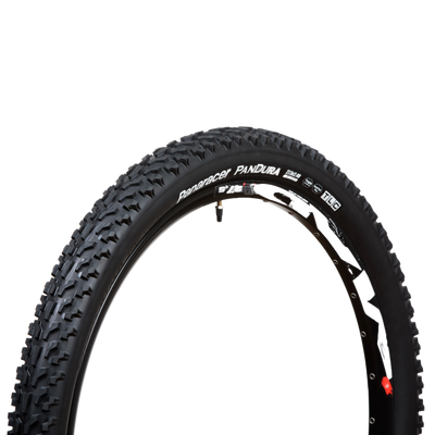 panaracer 29er tires