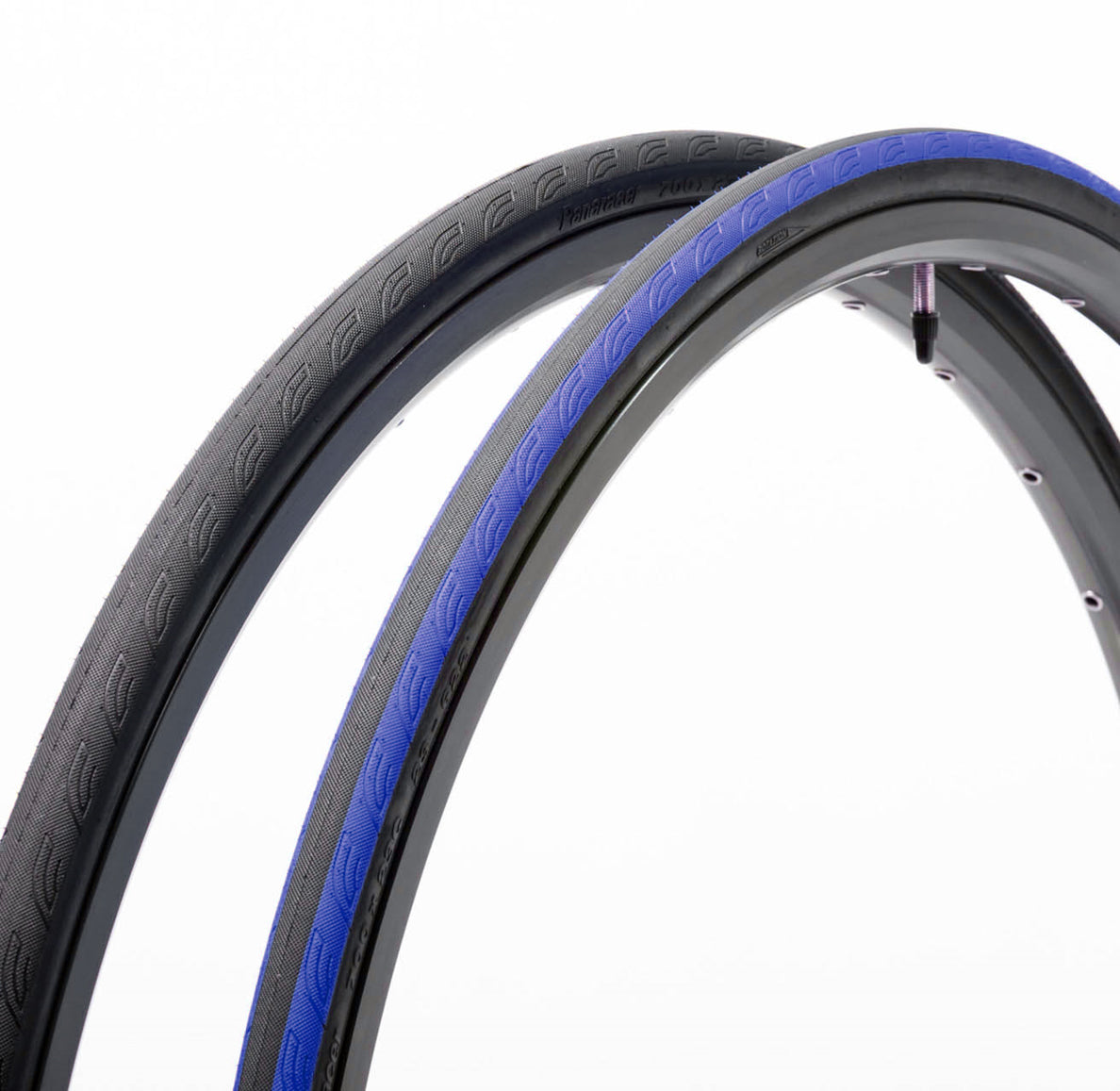 Catalyst Sport Wire Road Tire