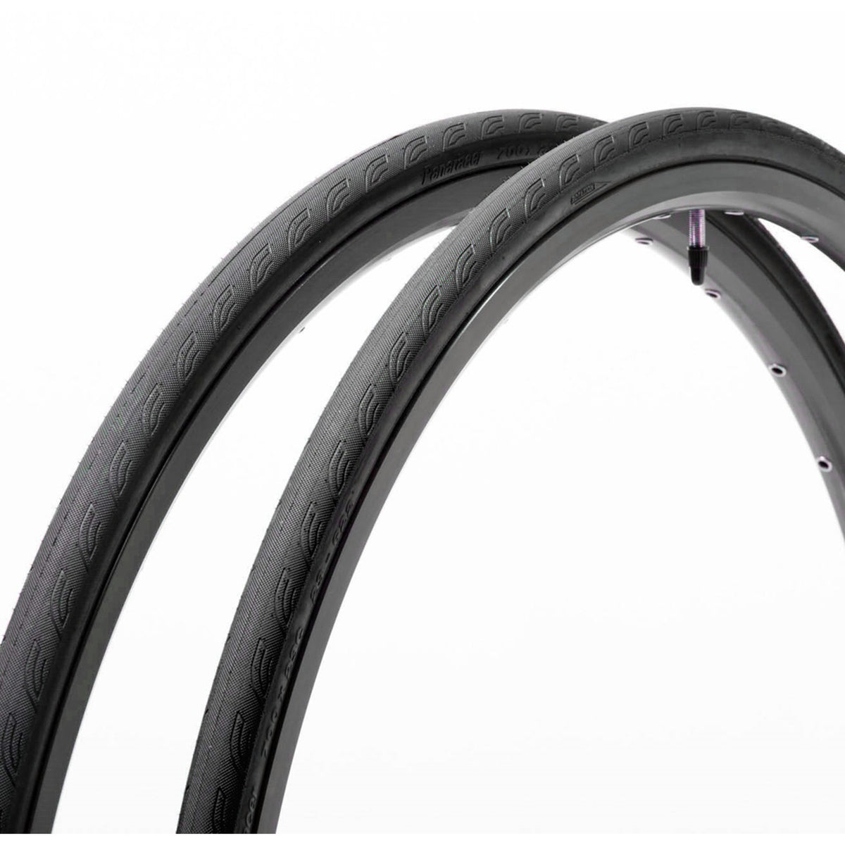 Catalyst Sport Wire Road Tire – PanaracerUSA